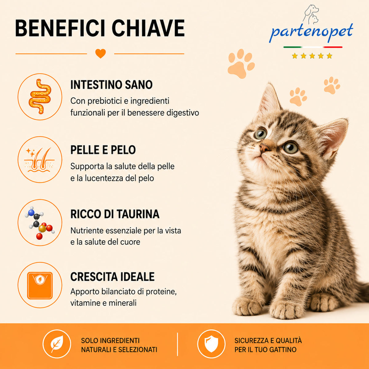 Busta di crocchette al pollo per gatti cuccioli pressate a freddo senza conservanti e coloranti marca Partenopet da 1,5 kg
