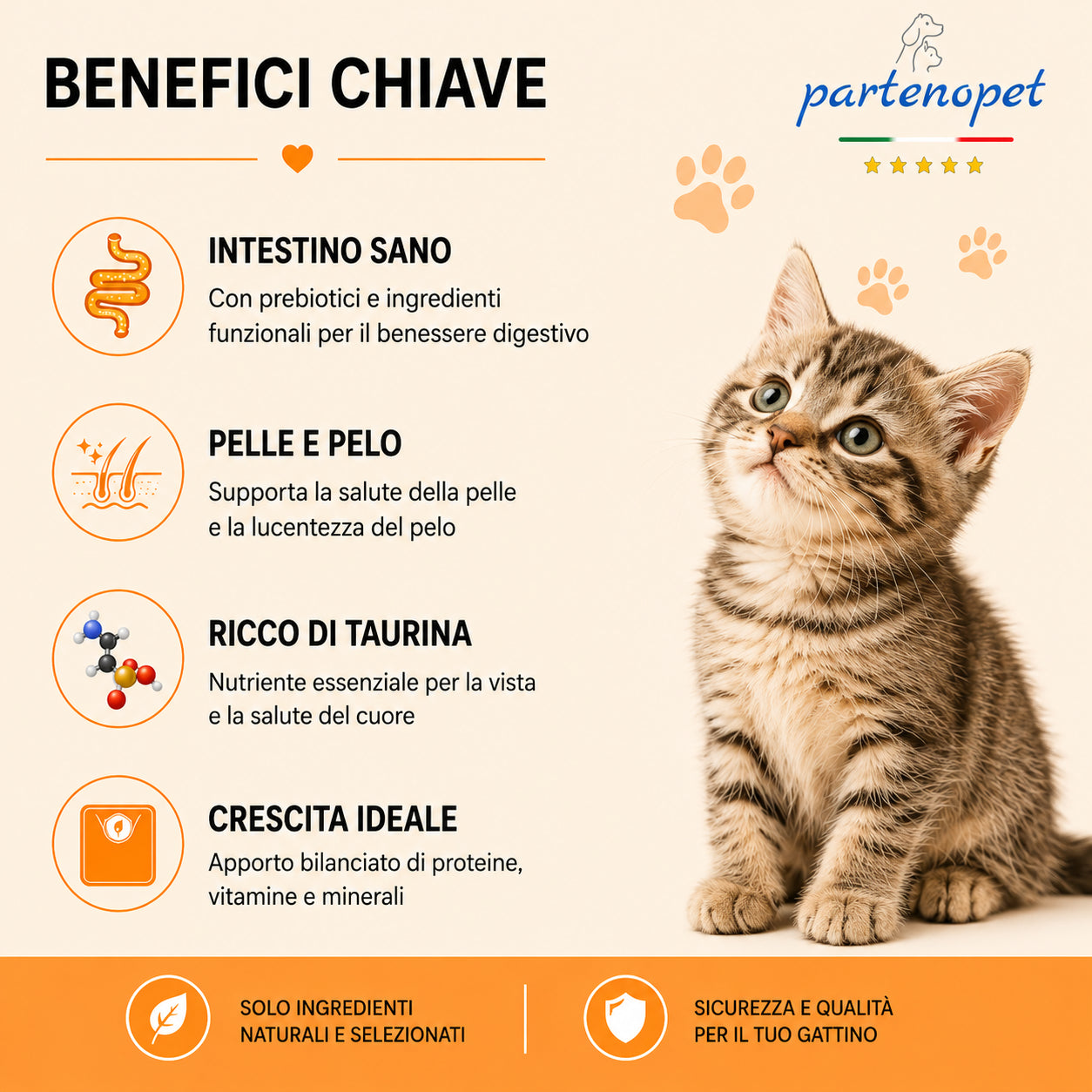 Busta di crocchette al pollo per gatti cuccioli pressate a freddo senza conservanti e coloranti marca Partenopet da 1,5 kg