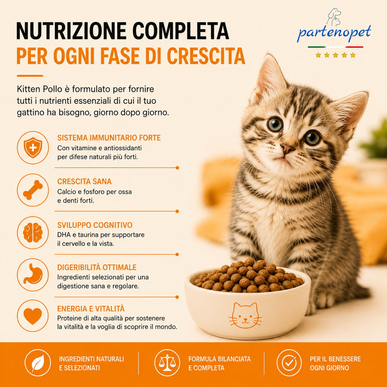 Busta di crocchette al pollo per gatti cuccioli pressate a freddo senza conservanti e coloranti marca Partenopet da 1,5 kg