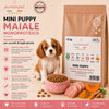 Sacco scorta 12kg crocchette Partenopet Puppy Mini al Maiale per cuccioli di piccola taglia, alimento monoproteico naturale pressato a freddo, Made in Italy con zucca e curcuma.