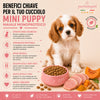 Sacco da 2kg di crocchette Partenopet Puppy Mini al Maiale per cuccioli di piccola taglia, alimento naturale pressato a freddo monoproteico, Made in Italy con zucca e curcuma.
