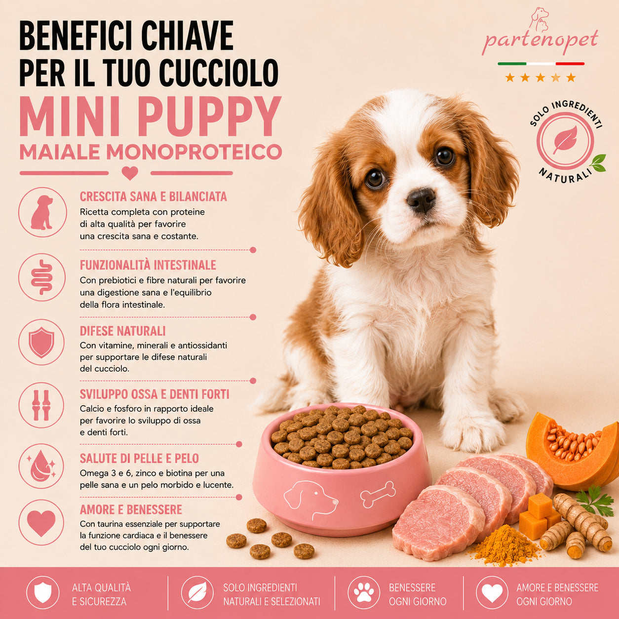 Sacco da 2kg di crocchette Partenopet Puppy Mini al Maiale per cuccioli di piccola taglia, alimento naturale pressato a freddo monoproteico, Made in Italy con zucca e curcuma.