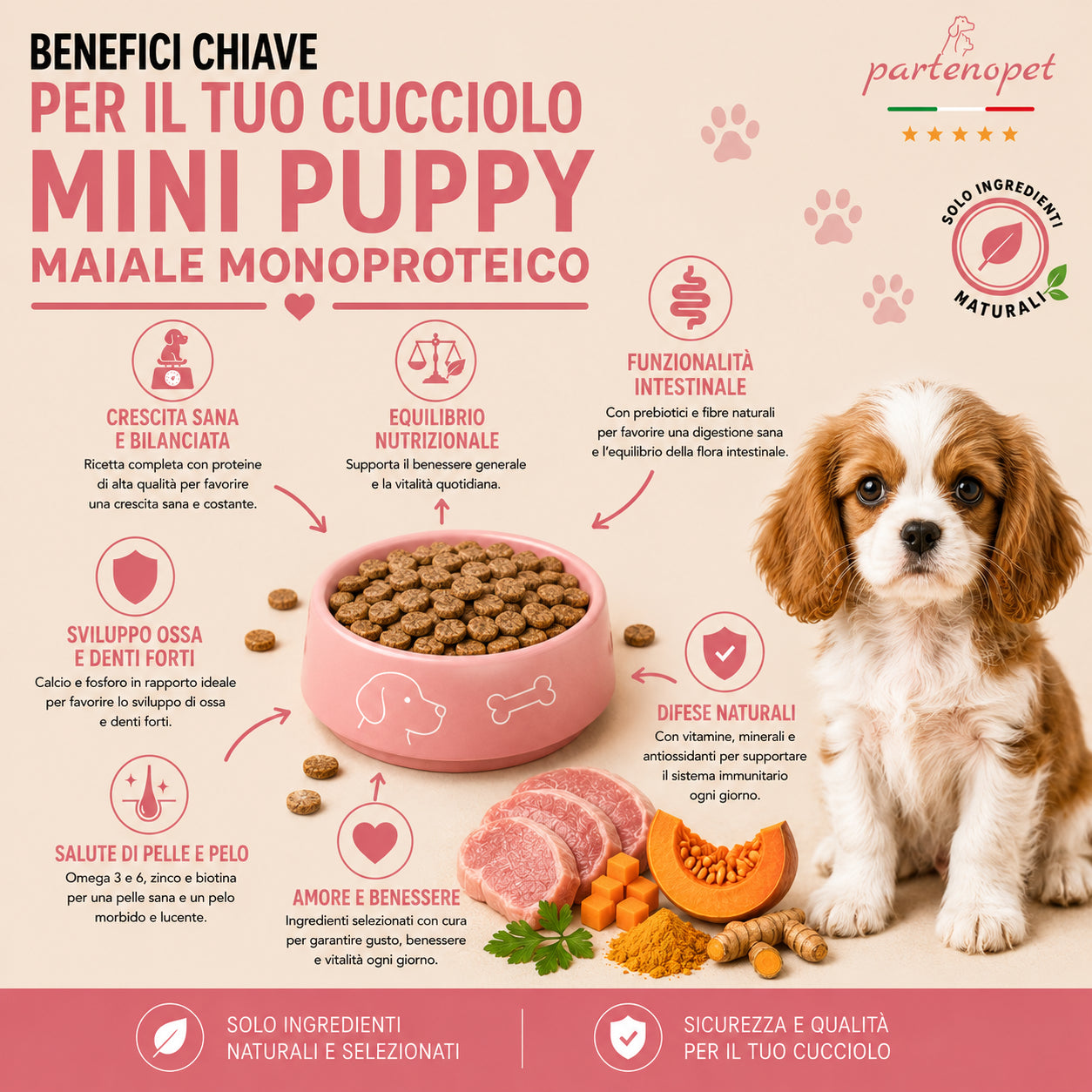 Sacco da 2kg di crocchette Partenopet Puppy Mini al Maiale per cuccioli di piccola taglia, alimento naturale pressato a freddo monoproteico, Made in Italy con zucca e curcuma.