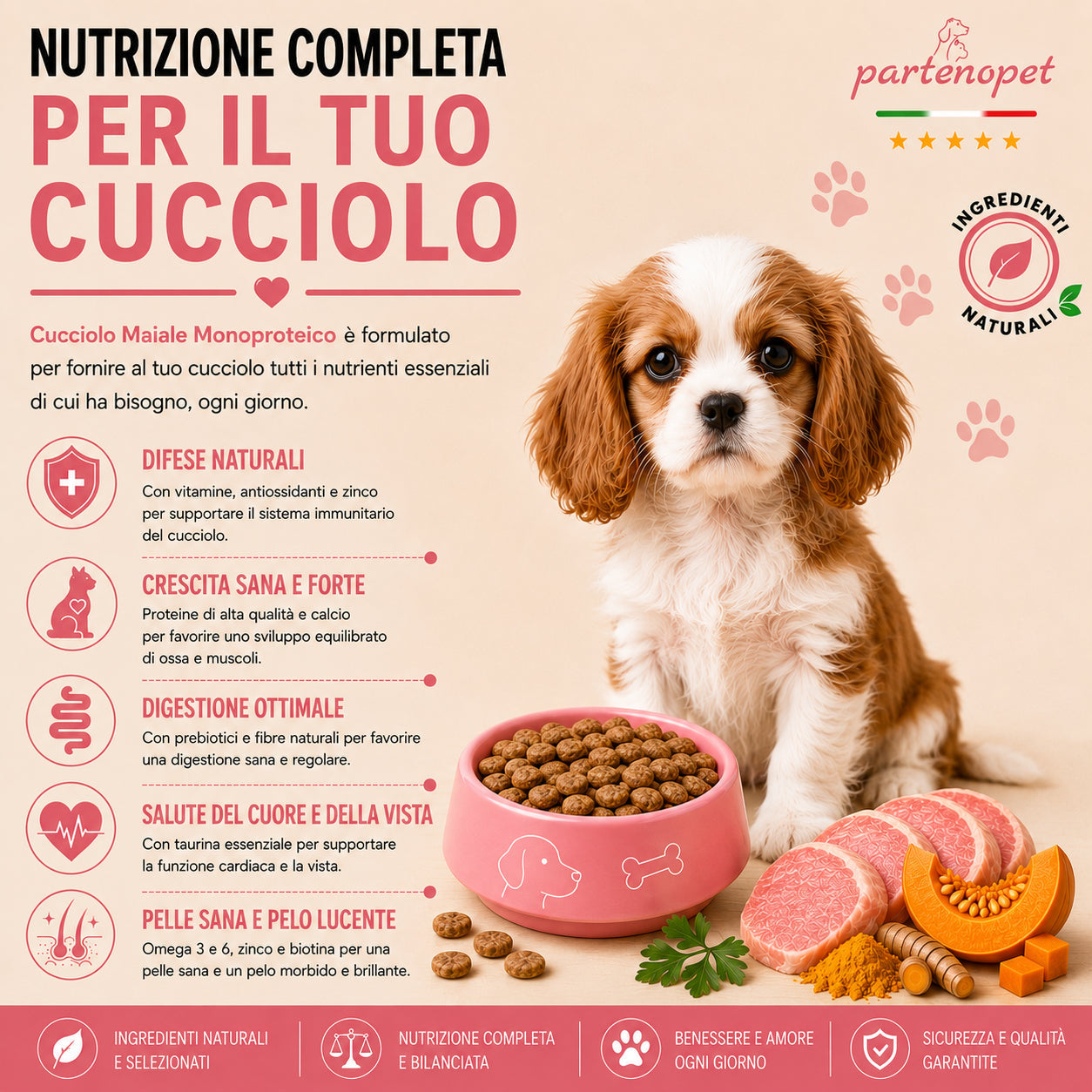Sacco da 2kg di crocchette Partenopet Puppy Mini al Maiale per cuccioli di piccola taglia, alimento naturale pressato a freddo monoproteico, Made in Italy con zucca e curcuma.