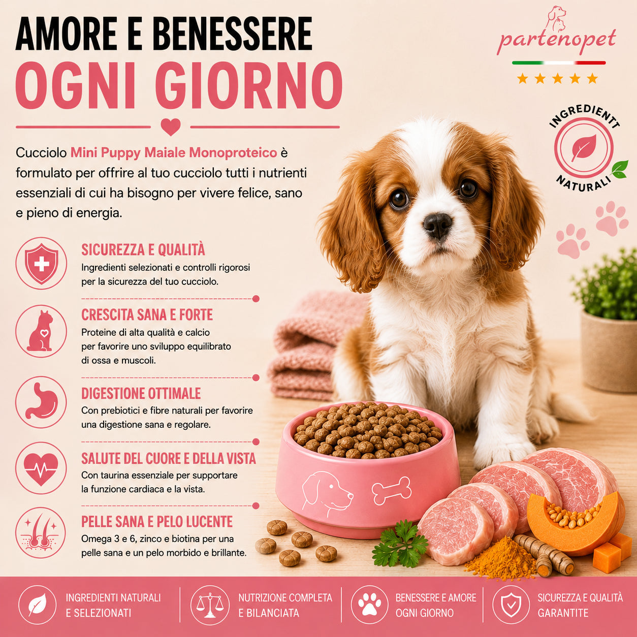 Sacco da 2kg di crocchette Partenopet Puppy Mini al Maiale per cuccioli di piccola taglia, alimento naturale pressato a freddo monoproteico, Made in Italy con zucca e curcuma.