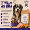 Sacco da 12kg di crocchette Partenopet Senior Light al Maiale per cani anziani, alimento monoproteico naturale pressato a freddo, Low Fat con Curcuma e Zucca, prodotto in Italia.