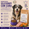 Sacco da 2kg di crocchette Partenopet Senior Light al Maiale, alimento per cani anziani pressato a freddo, naturale e monoproteico, con zucca e curcuma.