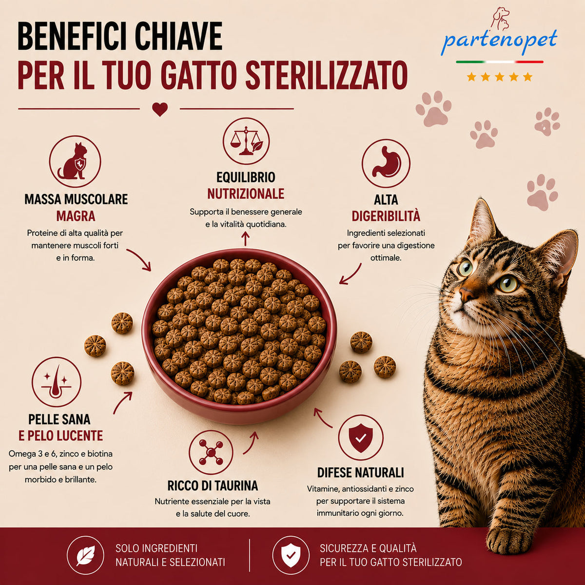 Sacco da 10 kg di crocchette Partenopet Sterilised Cat all'anatra per gatti sterilizzati, alimento naturale pressato a freddo prodotto in Italia, senza conservanti né coloranti.
