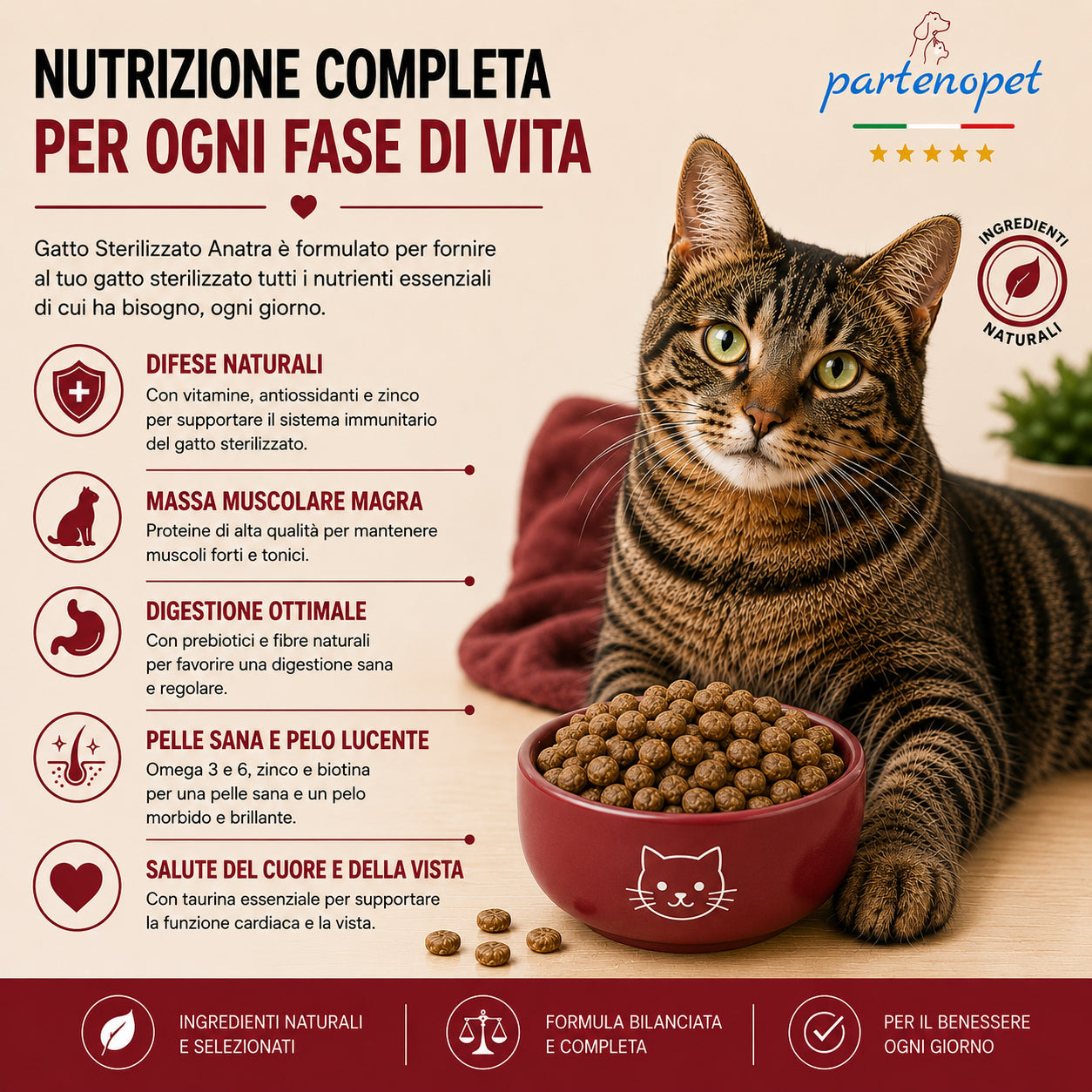 Sacco da 10 kg di crocchette Partenopet Sterilised Cat all'anatra per gatti sterilizzati, alimento naturale pressato a freddo prodotto in Italia, senza conservanti né coloranti.