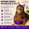 Sacco da 1,5kg di crocchette Partenopet Sterilised Cat Light al maiale per gatti sterilizzati, alimento naturale pressato a freddo prodotto in Italia, senza conservanti né coloranti.