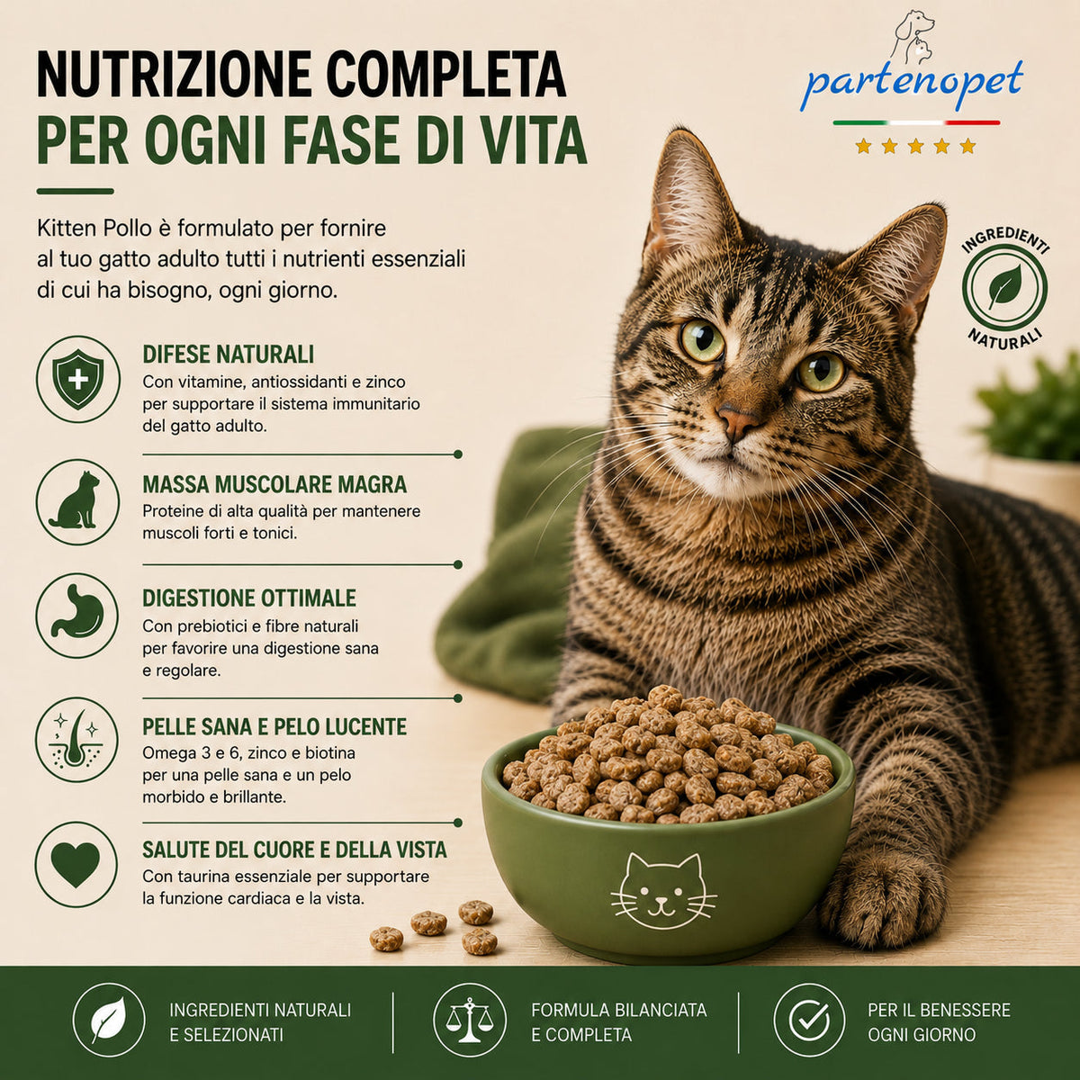 Busta di crocchette al pesce per gatti sterilizzati pressate a freddo senza conservanti e coloranti marca Partenopet da 1,5 kg