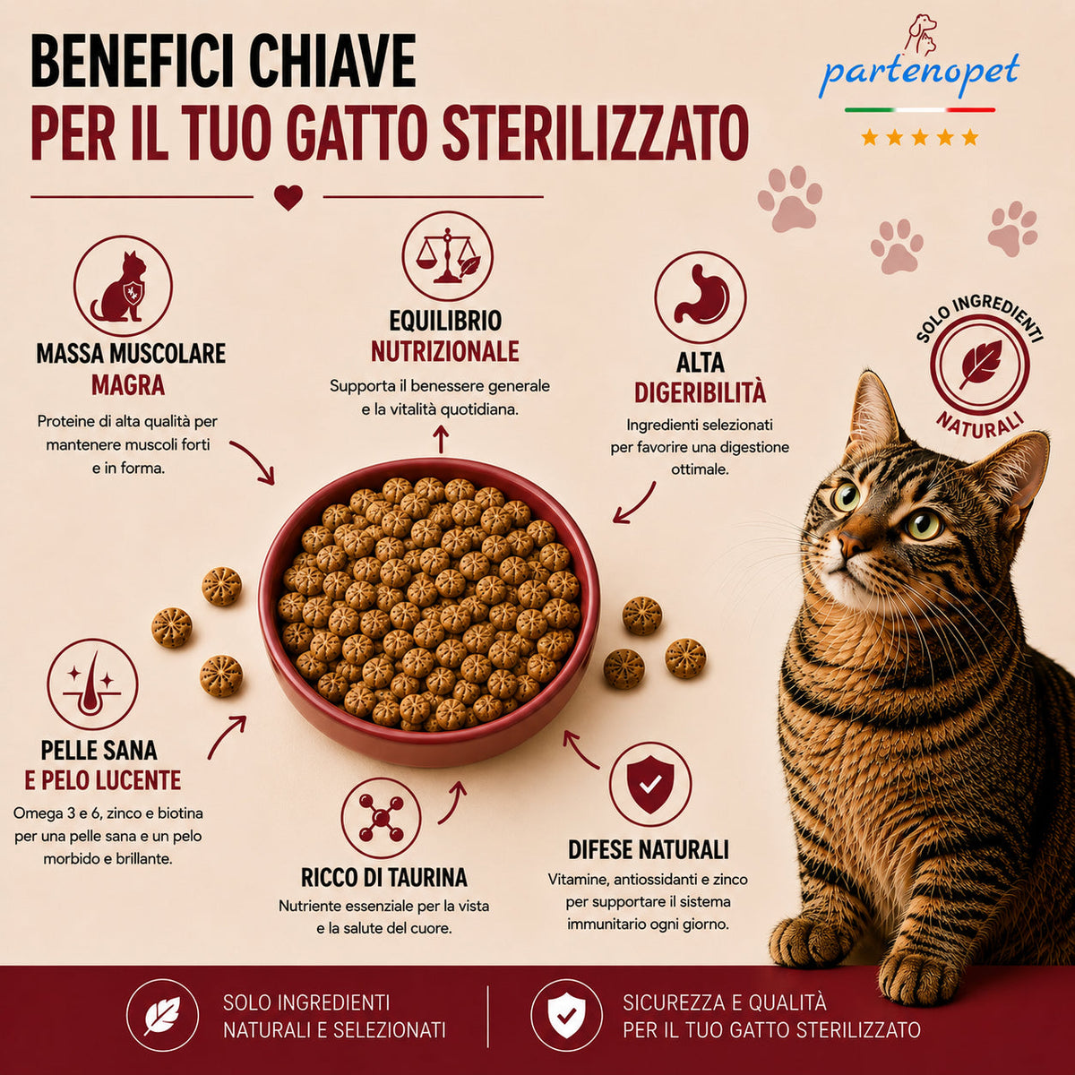 Busta di crocchette al pollo per gatti sterilizzati pressate a freddo senza conservanti e coloranti marca Partenopet da 1,5 kg