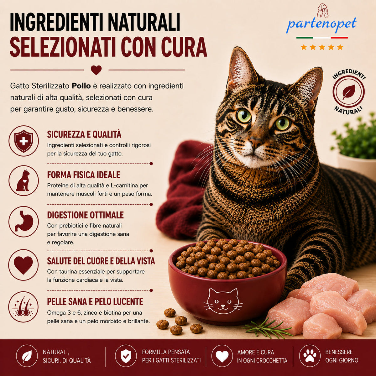 Busta di crocchette al pollo per gatti sterilizzati pressate a freddo senza conservanti e coloranti marca Partenopet da 1,5 kg