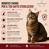Busta di crocchette al pollo per gatti sterilizzati pressate a freddo senza conservanti e coloranti marca Partenopet da 10 kg