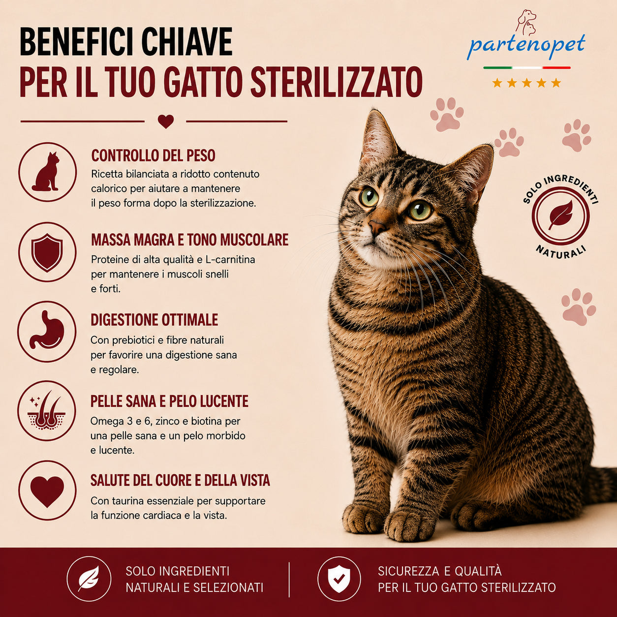 Busta di crocchette al pollo per gatti sterilizzati pressate a freddo senza conservanti e coloranti marca Partenopet da 10 kg
