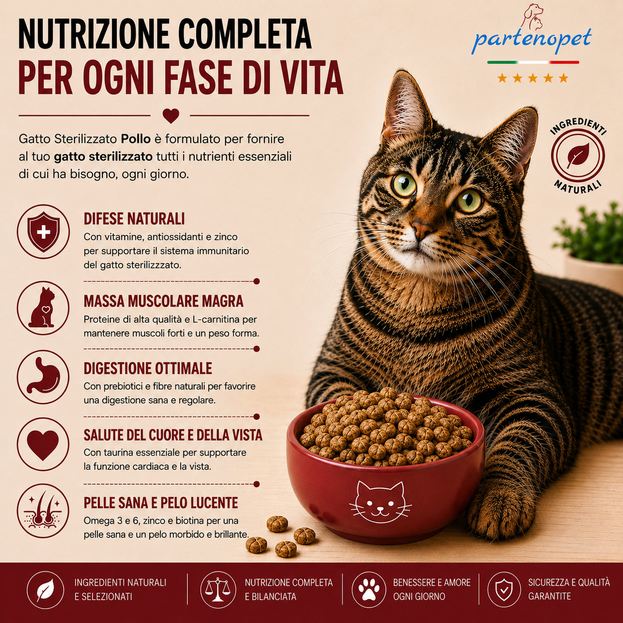 Busta di crocchette al pollo per gatti sterilizzati pressate a freddo senza conservanti e coloranti marca Partenopet da 10 kg