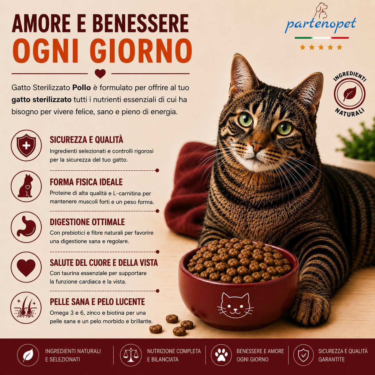 Busta di crocchette al pollo per gatti sterilizzati pressate a freddo senza conservanti e coloranti marca Partenopet da 10 kg
