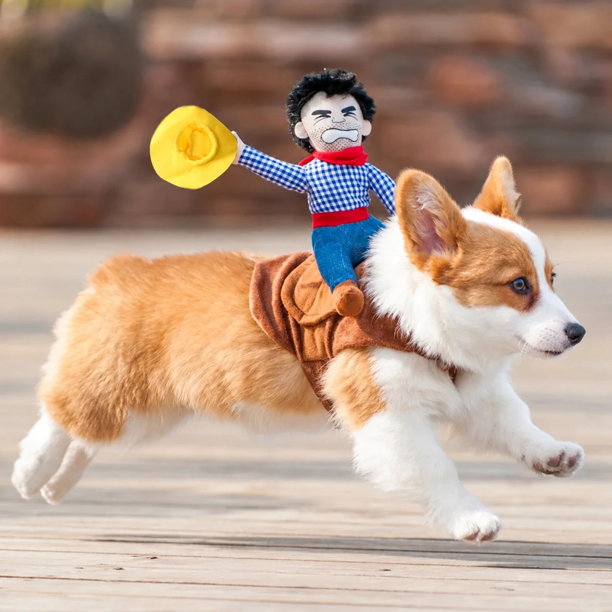 Costume Cowboy Halloween per Cani – Divertente Travestimento per Cani di Piccola e Grande Taglia